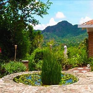 La Villa Bonita Culinary Vacation